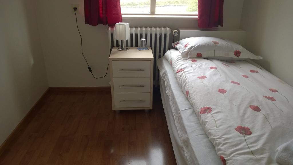 Guesthouse Skjoldolfsstadir Skjoldolfsstathir Δωμάτιο φωτογραφία