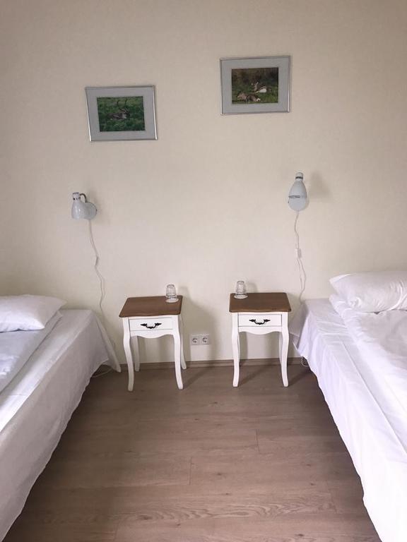 Guesthouse Skjoldolfsstadir Skjoldolfsstathir Εξωτερικό φωτογραφία